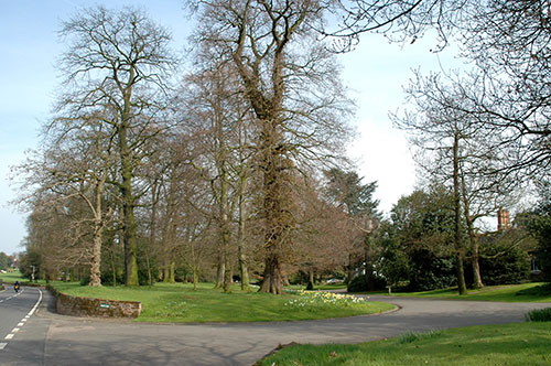 The private Newton Park estate, showing the original route of the Burton to Repton Road, diverted by Abraham Hoskins in 1809